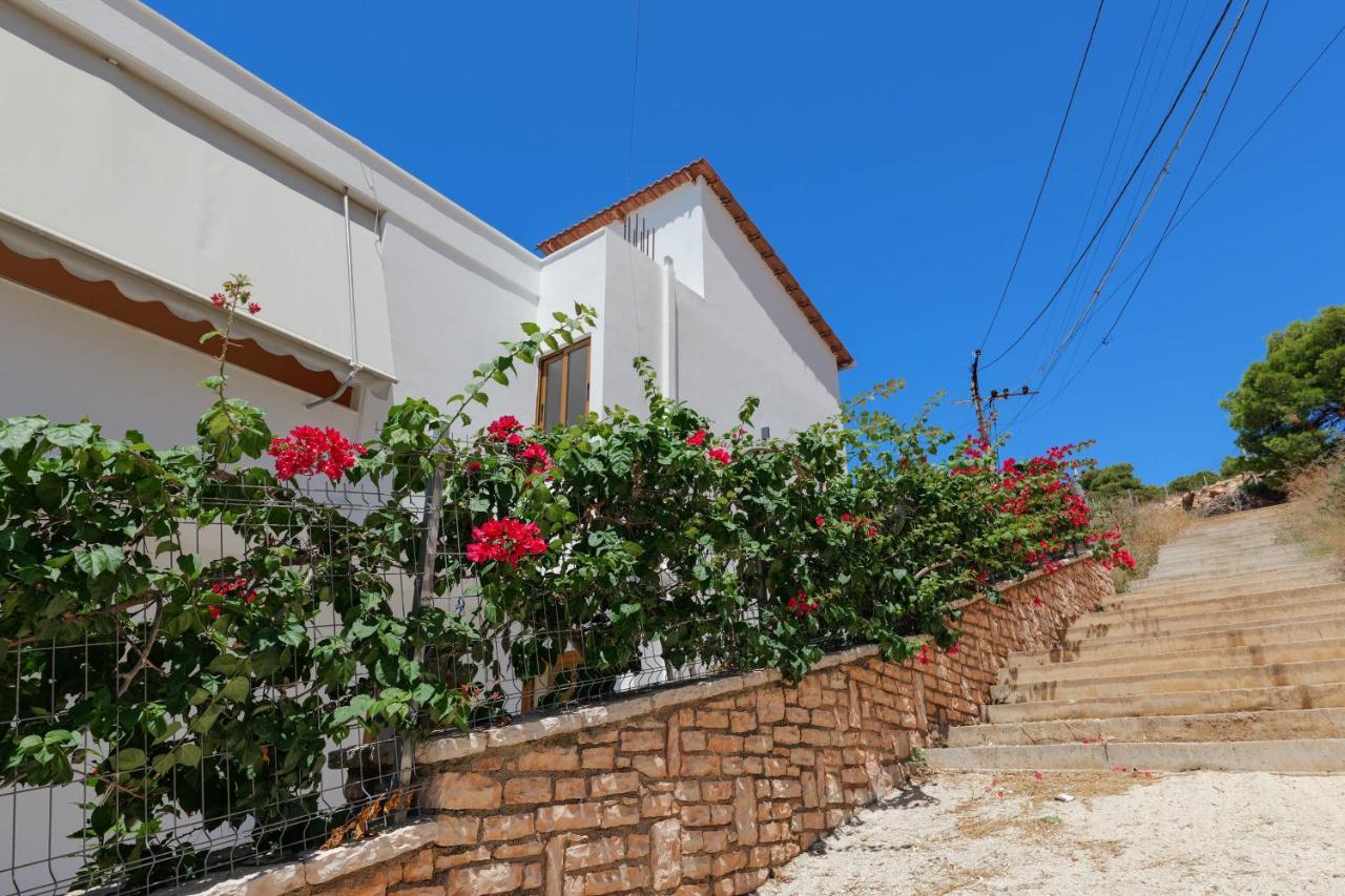 Maci Apartamento